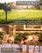 Solar Lights for Outside, 9.8Ft 120 LED Solar String Lights Outdoor Waterproof, 8 Modes Firecracker Balcony Lights for Tree Patio Christmas Party Wedding Decor (Warm White)